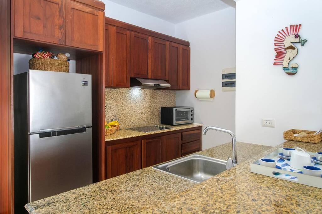 Palmeraie Terrenas Beach Apartamento ลาสแตร์เรนาส ภายนอก รูปภาพ