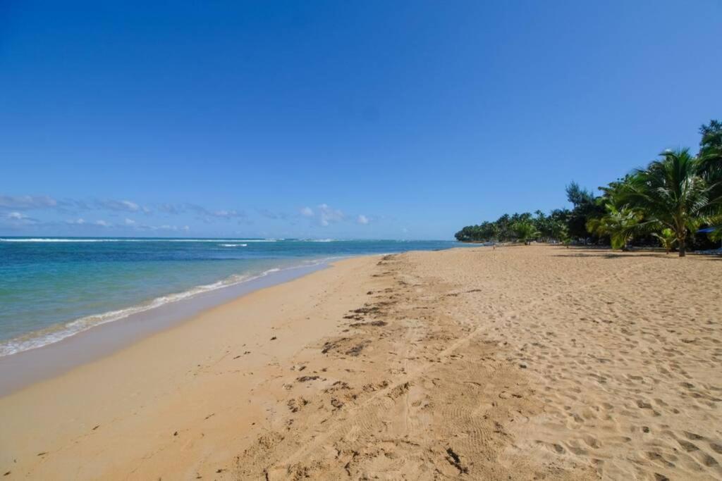 Palmeraie Terrenas Beach Apartamento ลาสแตร์เรนาส ภายนอก รูปภาพ